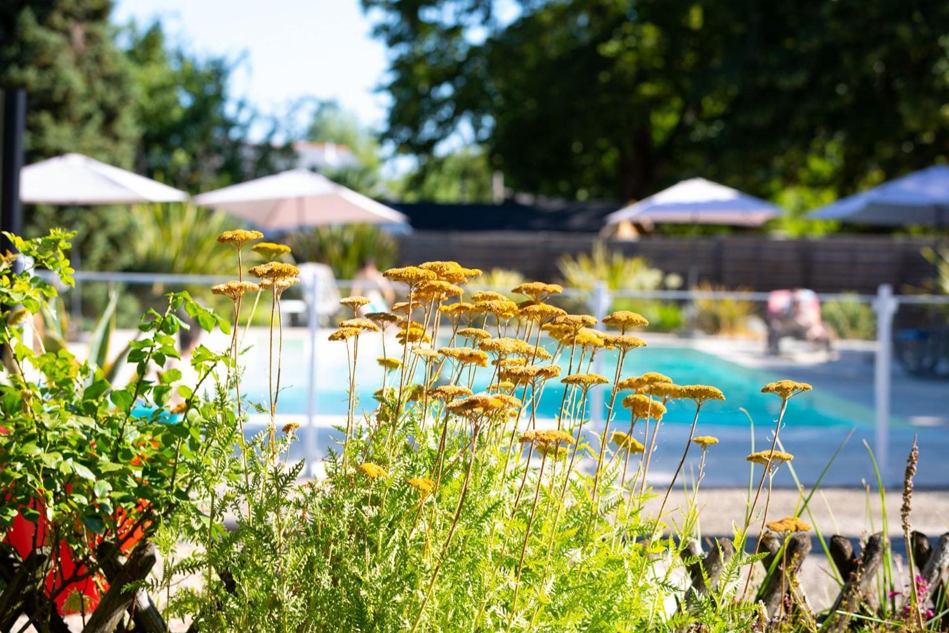 Hotel Mileade Le Domaine De La Blairie - Saumur Saint-Martin-de-la-Place Exterior foto